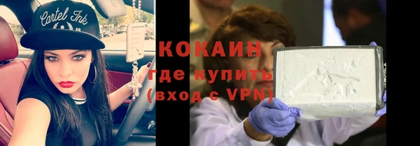 стаф Богданович