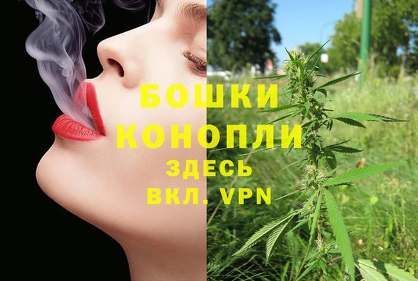 стаф Богданович