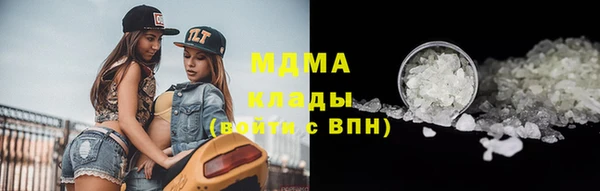стаф Богданович