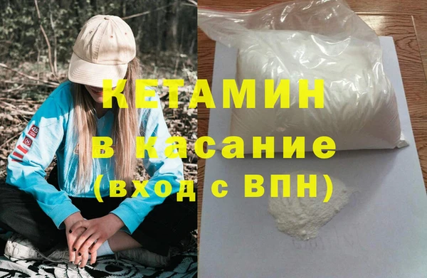 стаф Богданович