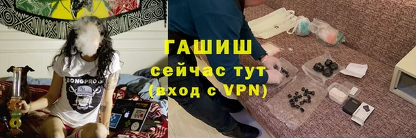 стаф Богданович
