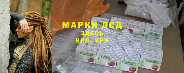 стаф Богданович