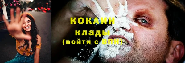 стаф Богданович