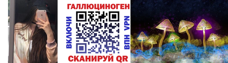 Галлюциногенные грибы GOLDEN TEACHER  купить наркоту  Гатчина 